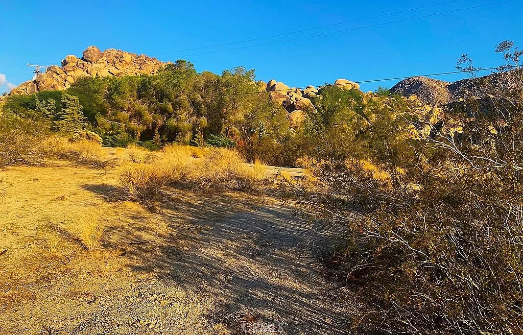 66058 Foothill Drive Joshua Tree, CA 92252 - Photo 7 of 12