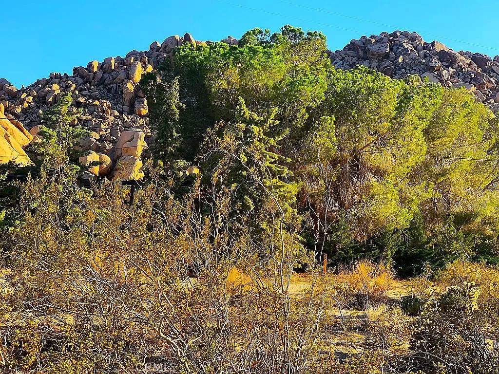 66058 Foothill Drive Joshua Tree, CA 92252 - Photo 10 of 12