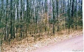 0 Marvin Road Roscommon, MI 48653 - Photo 1 of 1 Property