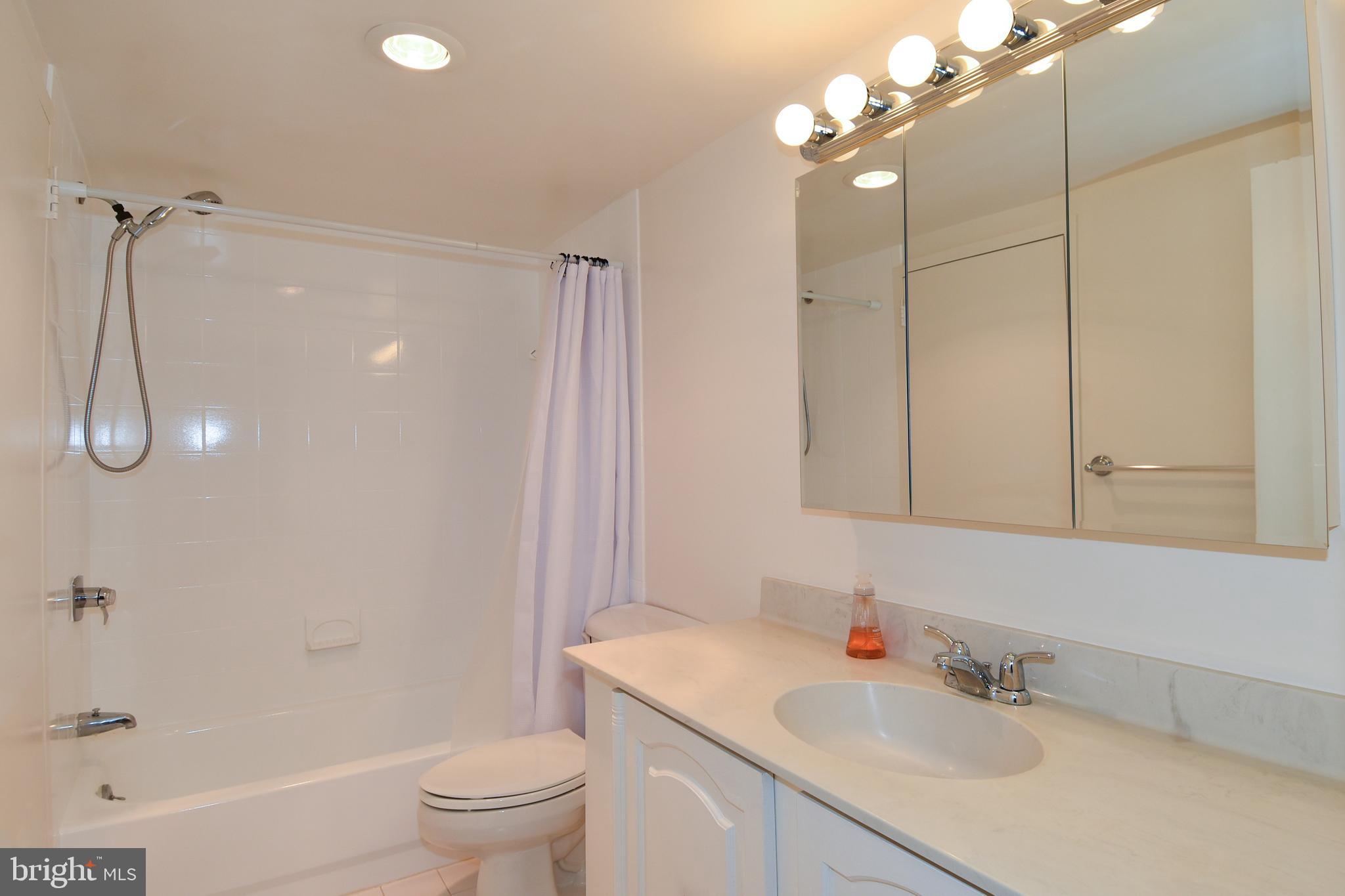 5225 Pooks Hill Road, Unit 1003S Bethesda, MD 20814 - Photo 7 of 30 a bathroom with a sink a toilet and shower