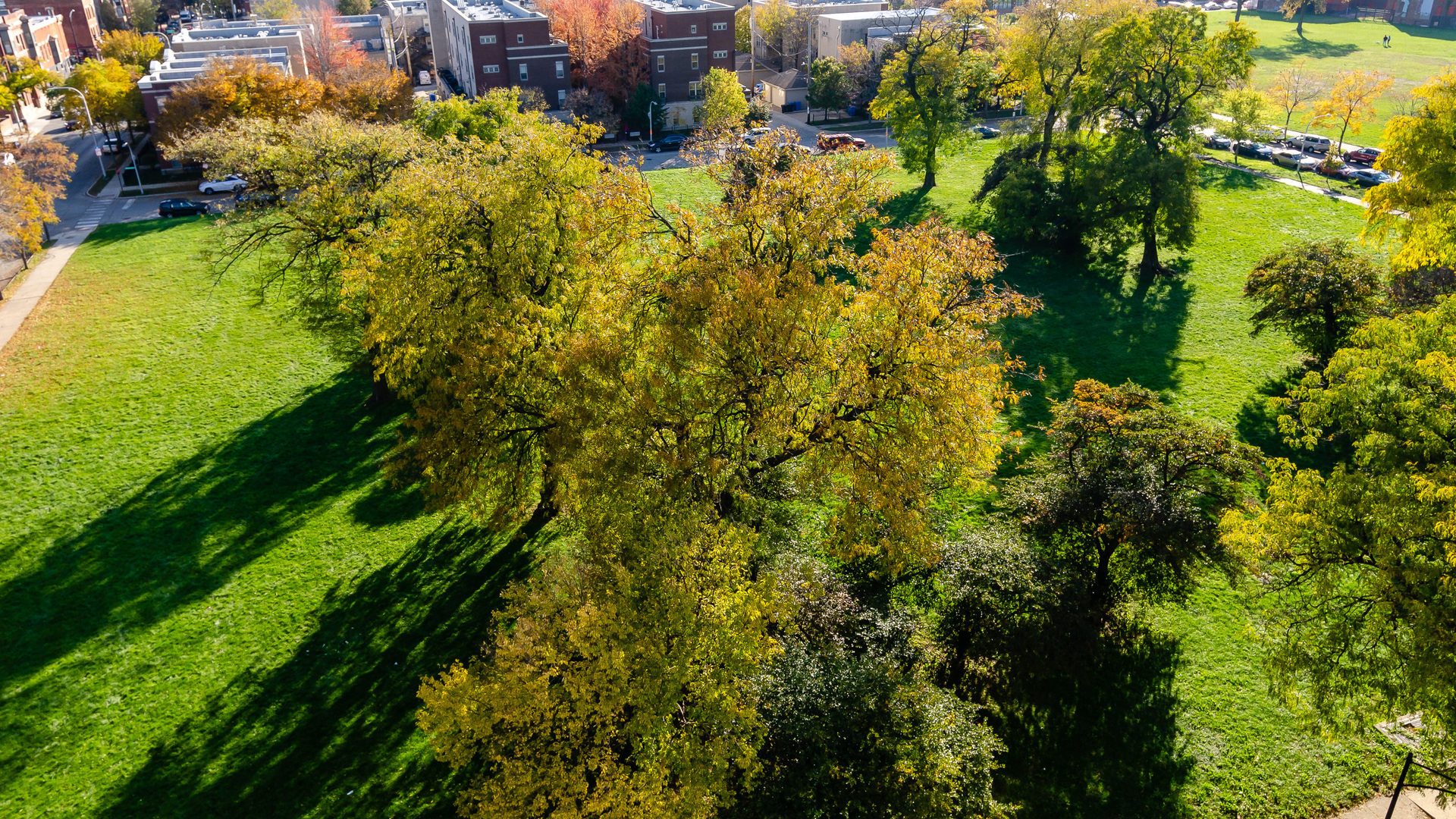 811 South Lytle Street, Unit 508 Chicago, IL 60607 - Photo 34 of 36 a view of a yard