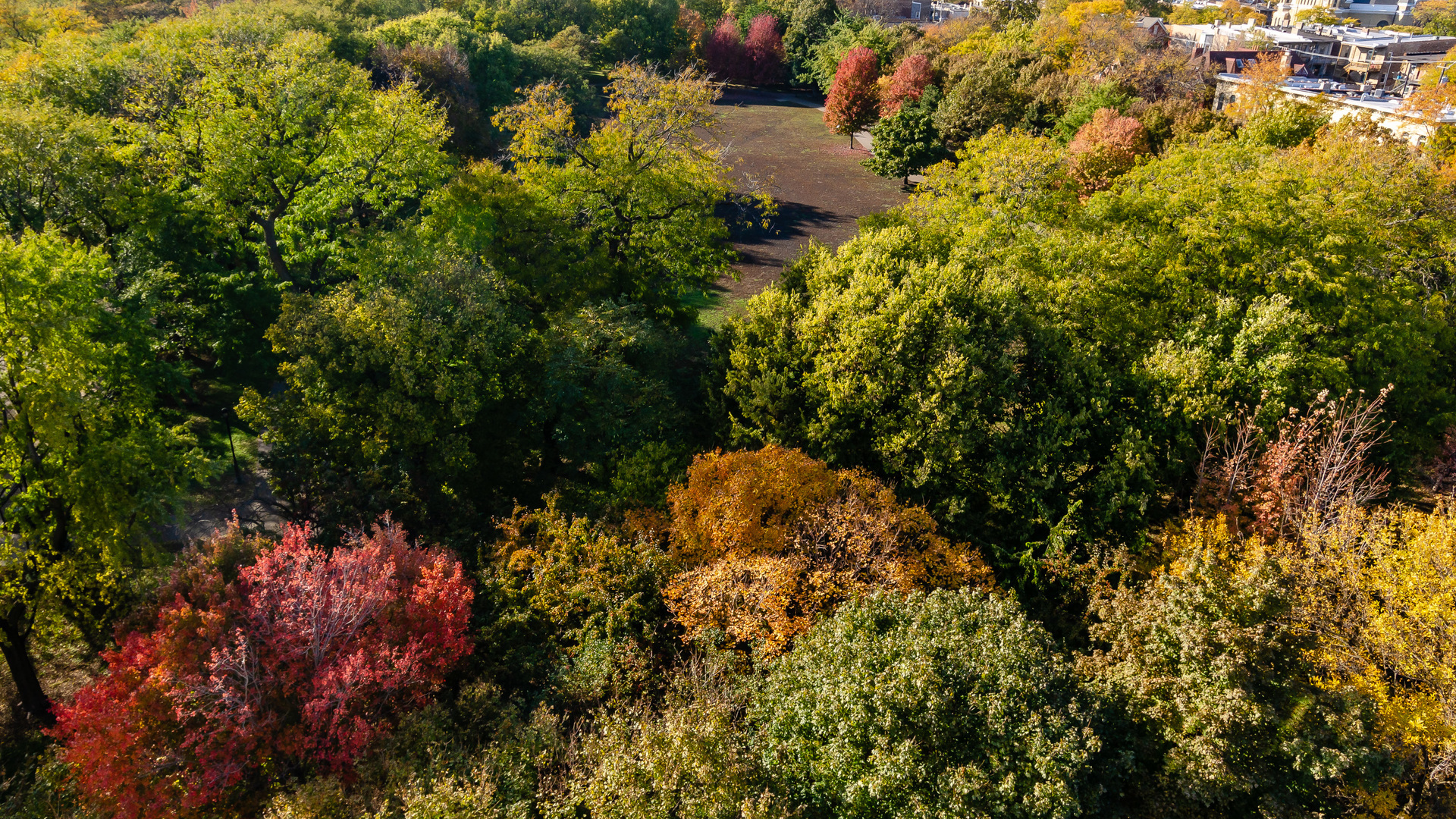 811 South Lytle Street, Unit 508 Chicago, IL 60607 - Photo 35 of 36 a view of a house with a tree