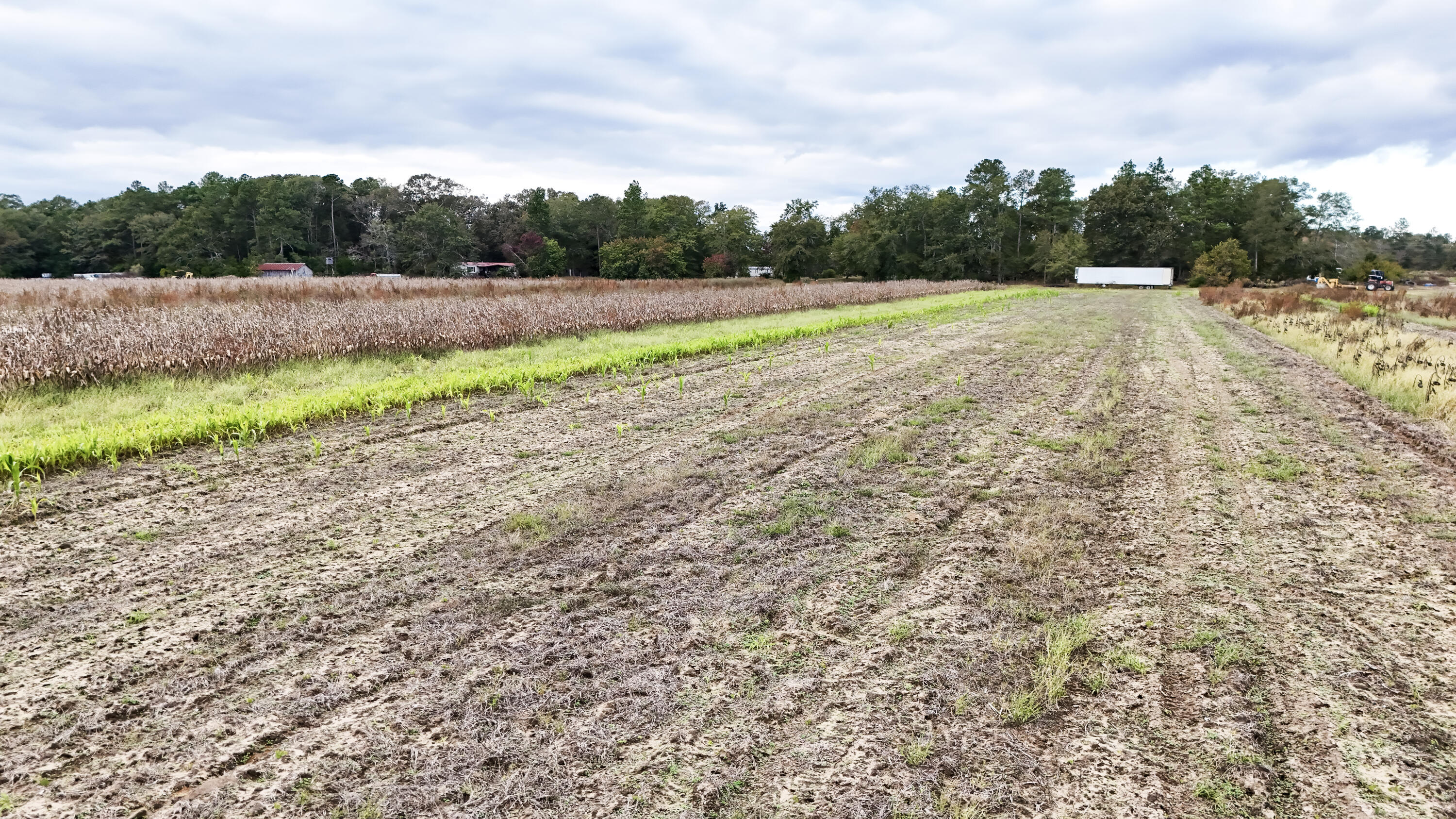 0 Chavis Road Blackville, SC 29817 - Photo 5 of 22 21-DJI_20251031050110_0252_D
