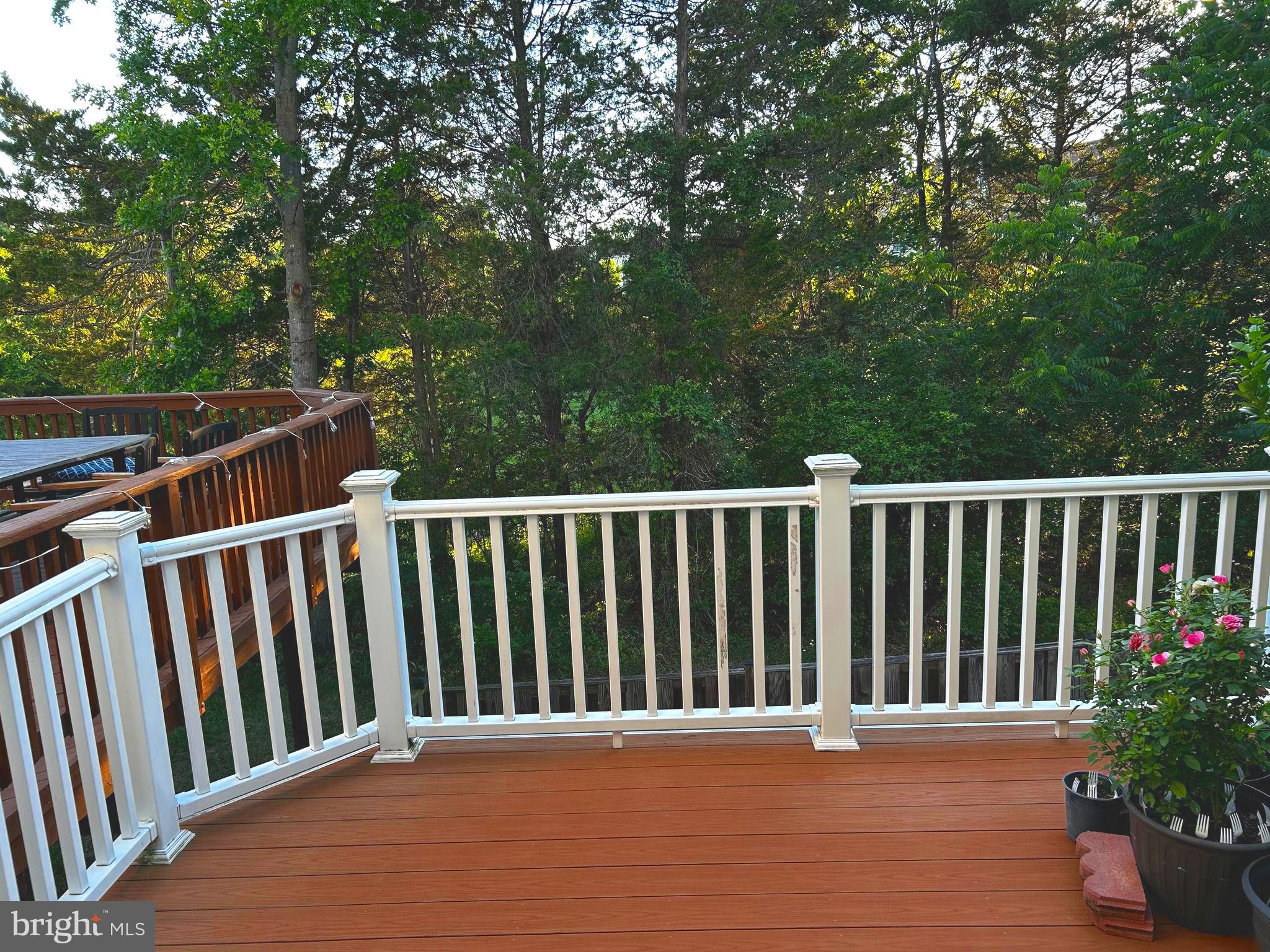 25285 Nesting Square Chantilly, VA 20152 - Photo 2 of 3 Rear Deck