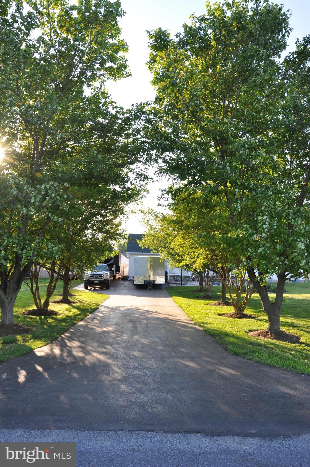 11481 Reed Circle Ridgely, MD 21660 - Photo 8 of 39 Tree lined Driveway Extra Parking for Boat or RV