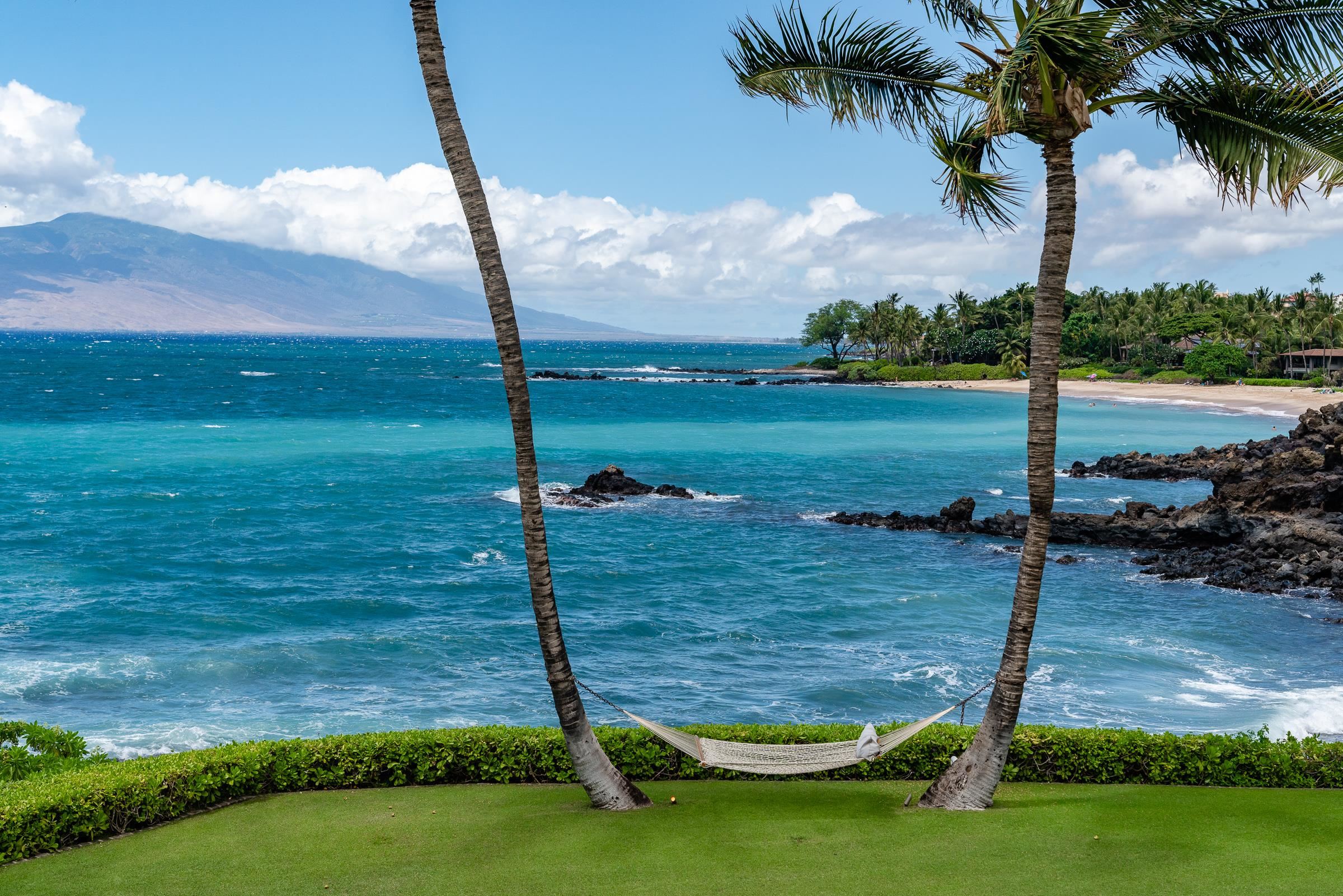 4572 Makena Road Kihei, HI 96753 - Photo 27 of 30 a view of a lake with a big yard