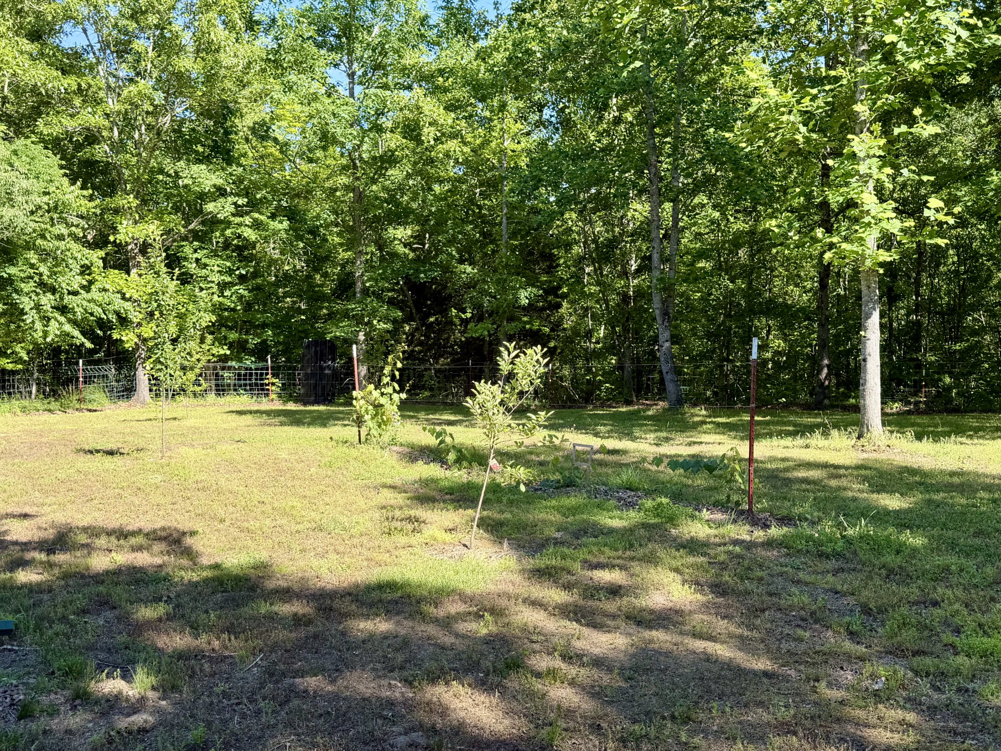 2901 Campground Hollow Road Nunnelly, TN 37137 - Photo 39 of 57