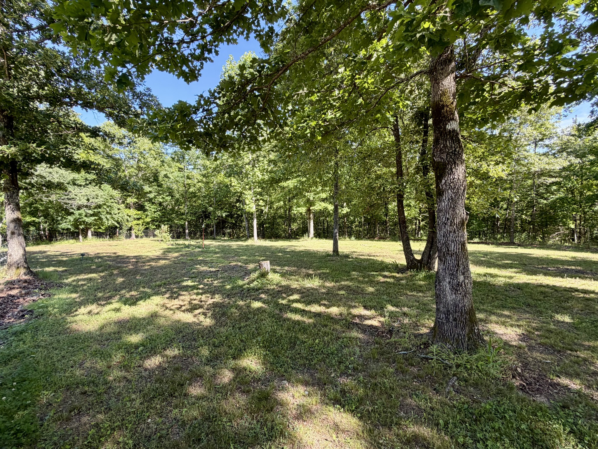 2901 Campground Hollow Road Nunnelly, TN 37137 - Photo 40 of 57