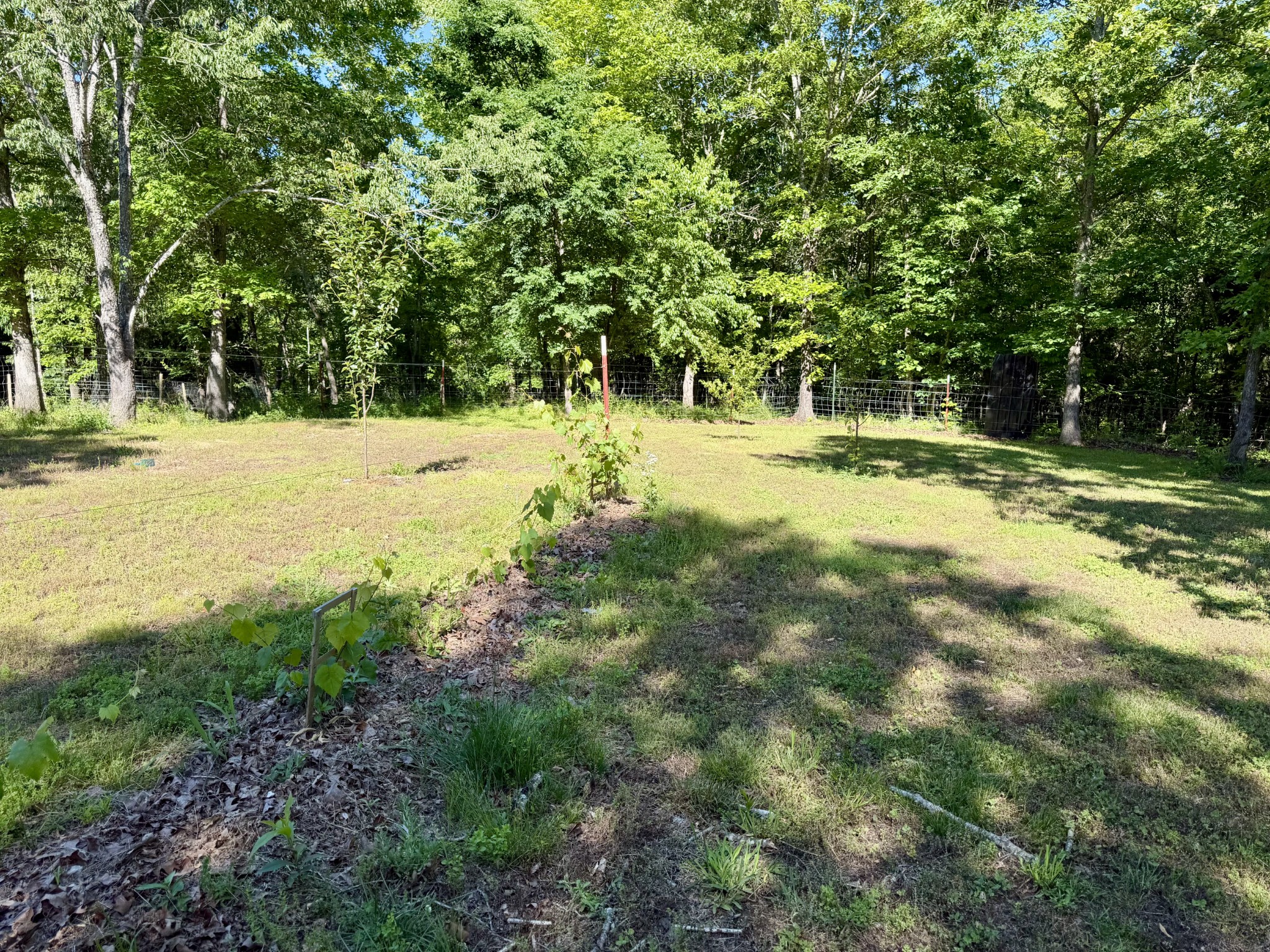 2901 Campground Hollow Road Nunnelly, TN 37137 - Photo 41 of 57