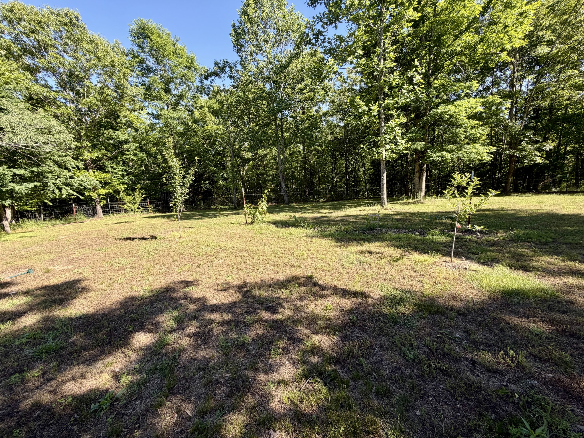 2901 Campground Hollow Road Nunnelly, TN 37137 - Photo 43 of 57