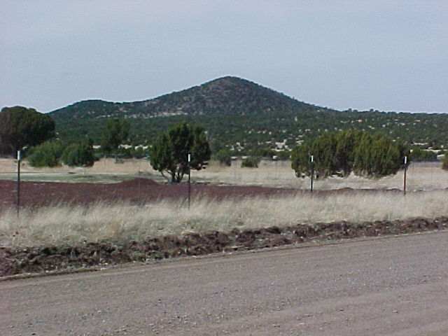 43 Co Road Concho, AZ 85924 - Photo 2 of 5