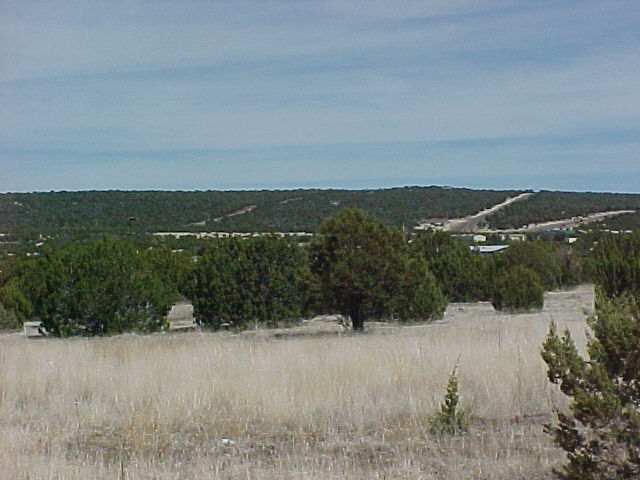 43 Co Road Concho, AZ 85924 - Photo 3 of 5