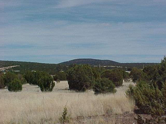 43 Co Road Concho, AZ 85924 - Photo 4 of 5