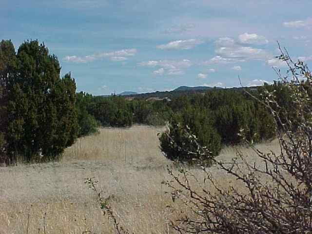 43 Co Road Concho, AZ 85924 - Photo 5 of 5