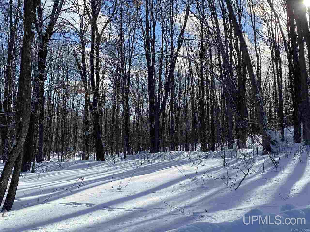 On On Chaney Cove Road, Unit LOT 1 Bessemer, MI 49911 - Photo 24 of 28