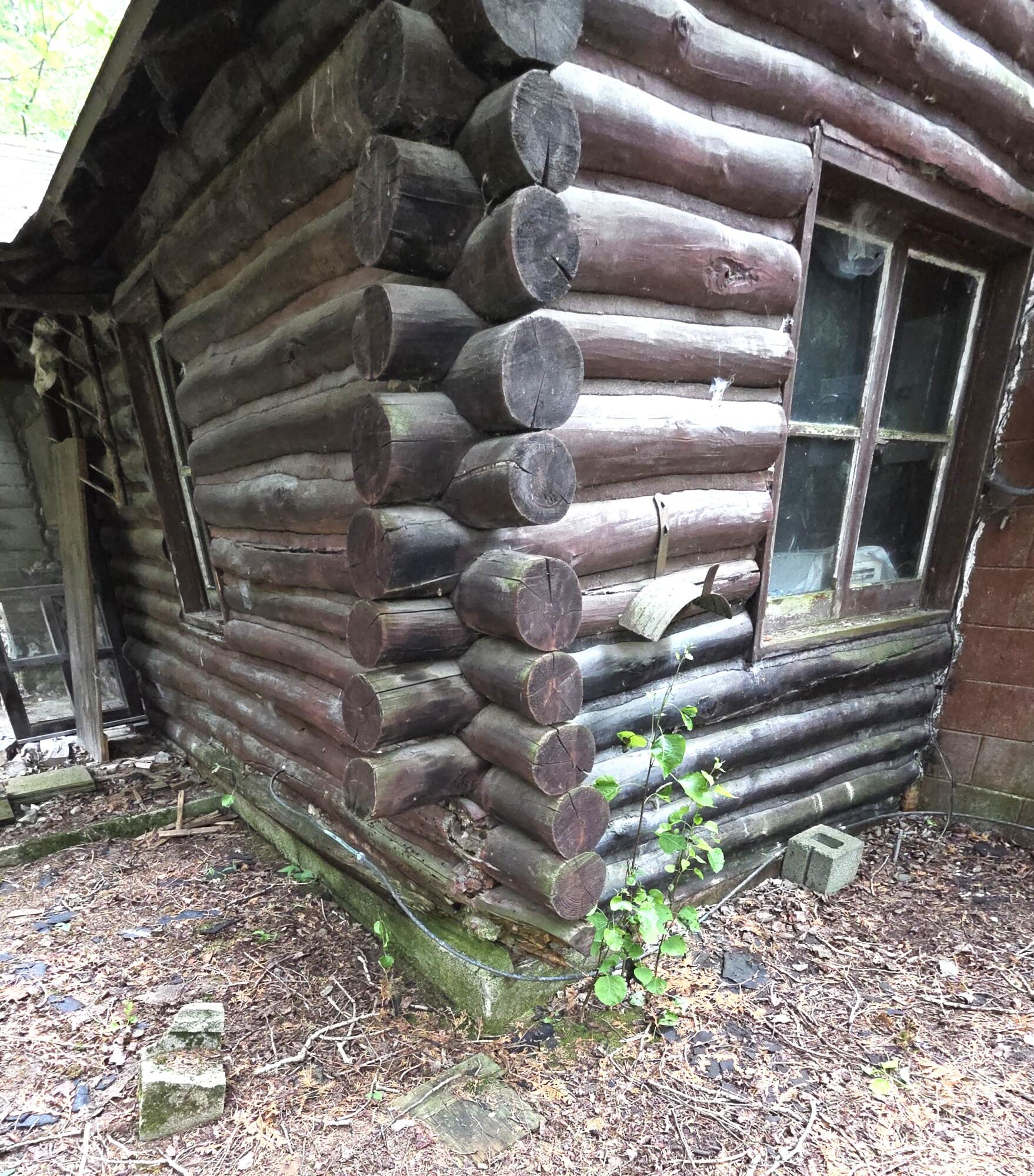 14050 Trowbridge Road Wolverine, MI 49799 - Photo 14 of 21 Corner Logs