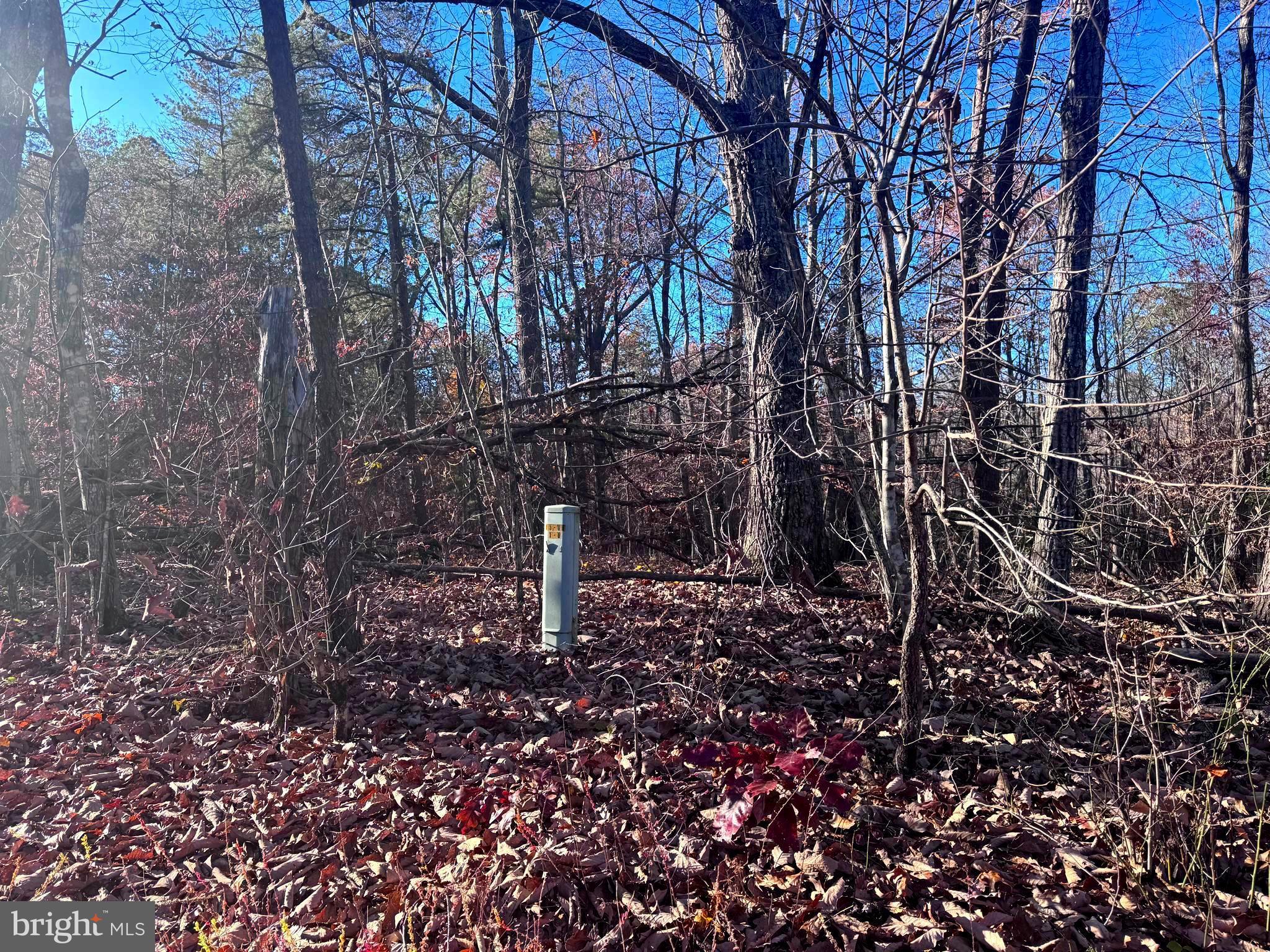 0 Main Uno Baptist Church Lane Rochelle, VA 22738 - Photo 3 of 14 a backyard of a house with lots of green space