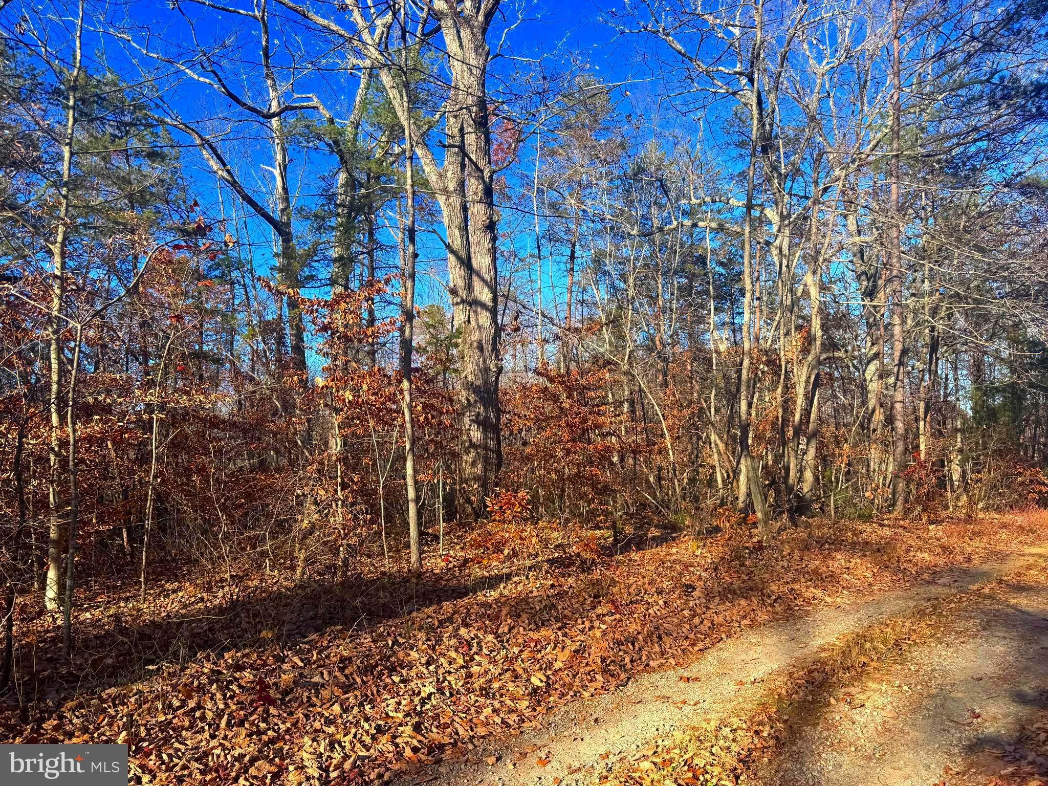 0 Main Uno Baptist Church Lane Rochelle, VA 22738 - Photo 4 of 14 a view of a yard with trees