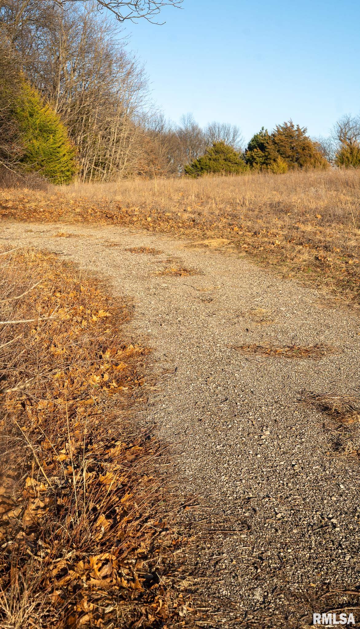 1 East 1050 Road Kilbourne, IL 62655 - Photo 24 of 36