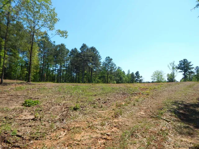 $187,500 | 15 Acres Fm 1795, Big Sandy, TX 75755