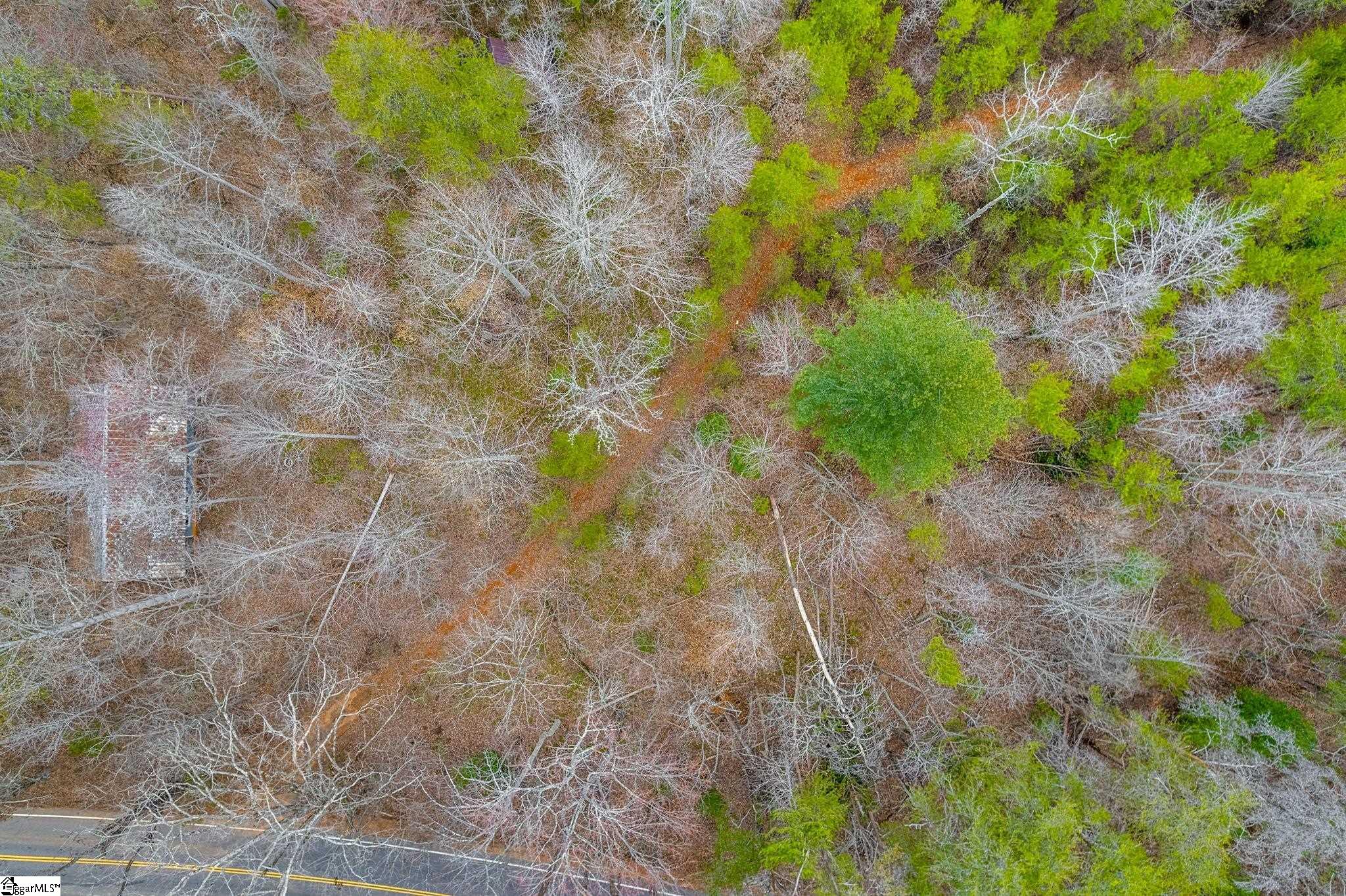 0 Tubbs Mountain Road Travelers Rest, SC 29690 - Photo 11 of 19