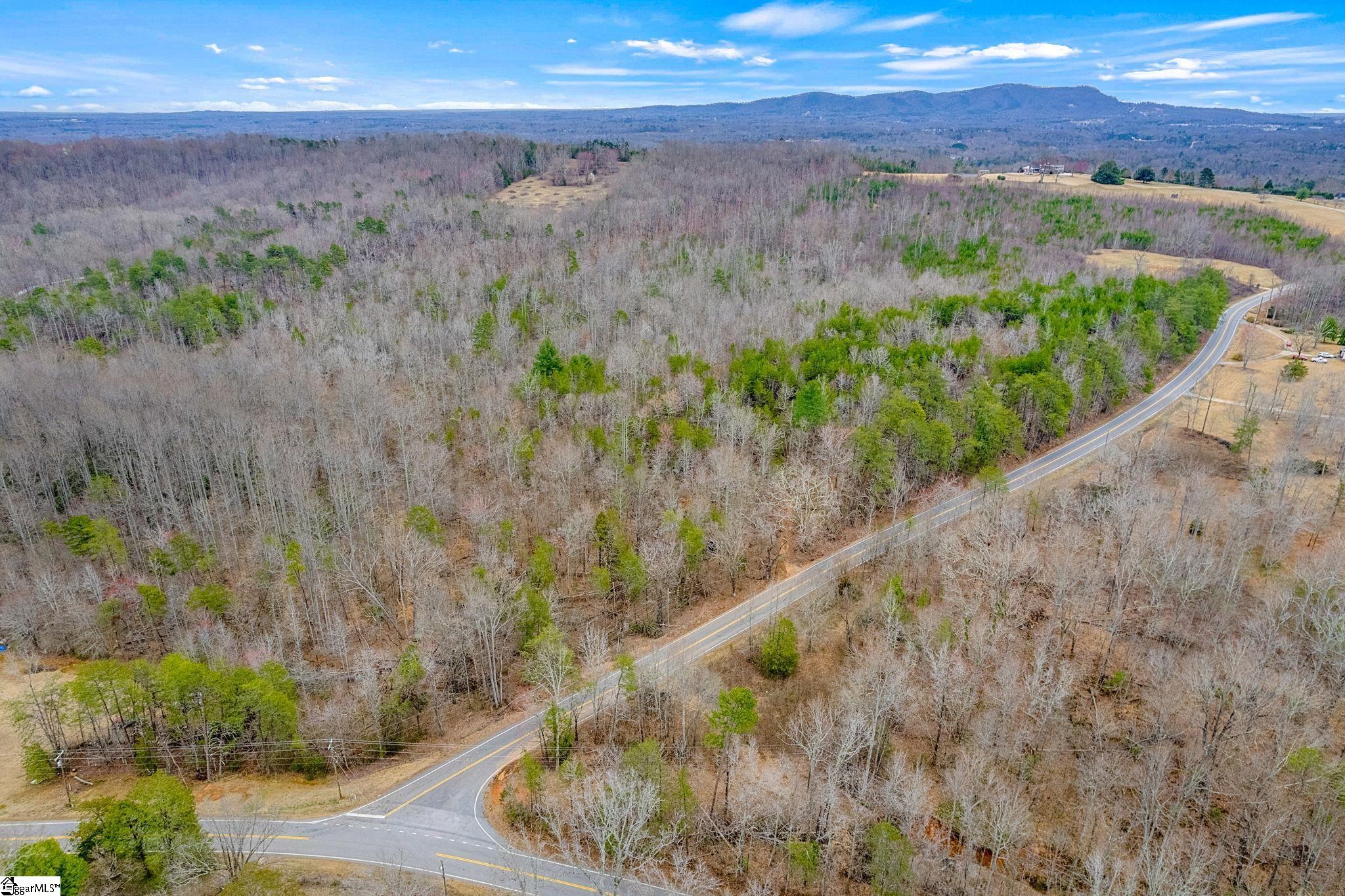 0 Tubbs Mountain Road Travelers Rest, SC 29690 - Photo 5 of 19