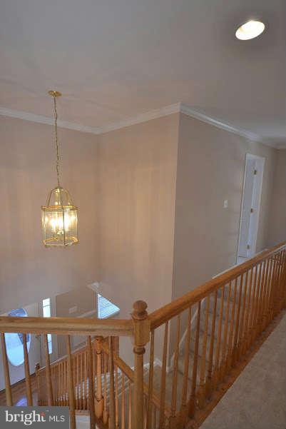 6234 St Pauls Road King George, VA 22485 - Photo 6 of 15 Interior (General)