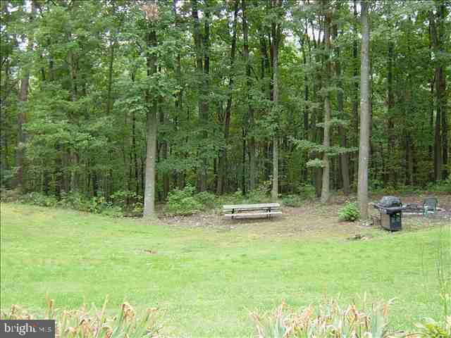 162 Tuckahoe Road Dillsburg, PA 17019 - Photo 5 of 12 Gallery Image 5