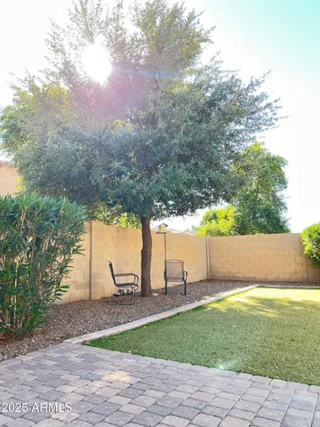 a view of a park with large trees