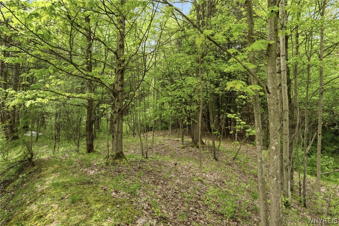 5411 Riley Road Ashford, NY 14171 - Photo 39 of 47