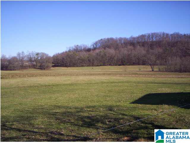 484 Wright Road Blountsville, AL 35031 - Photo 8 of 9