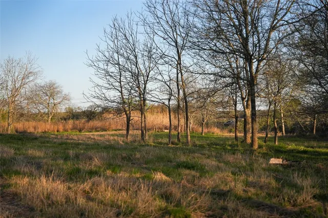 a view of backyard with green space