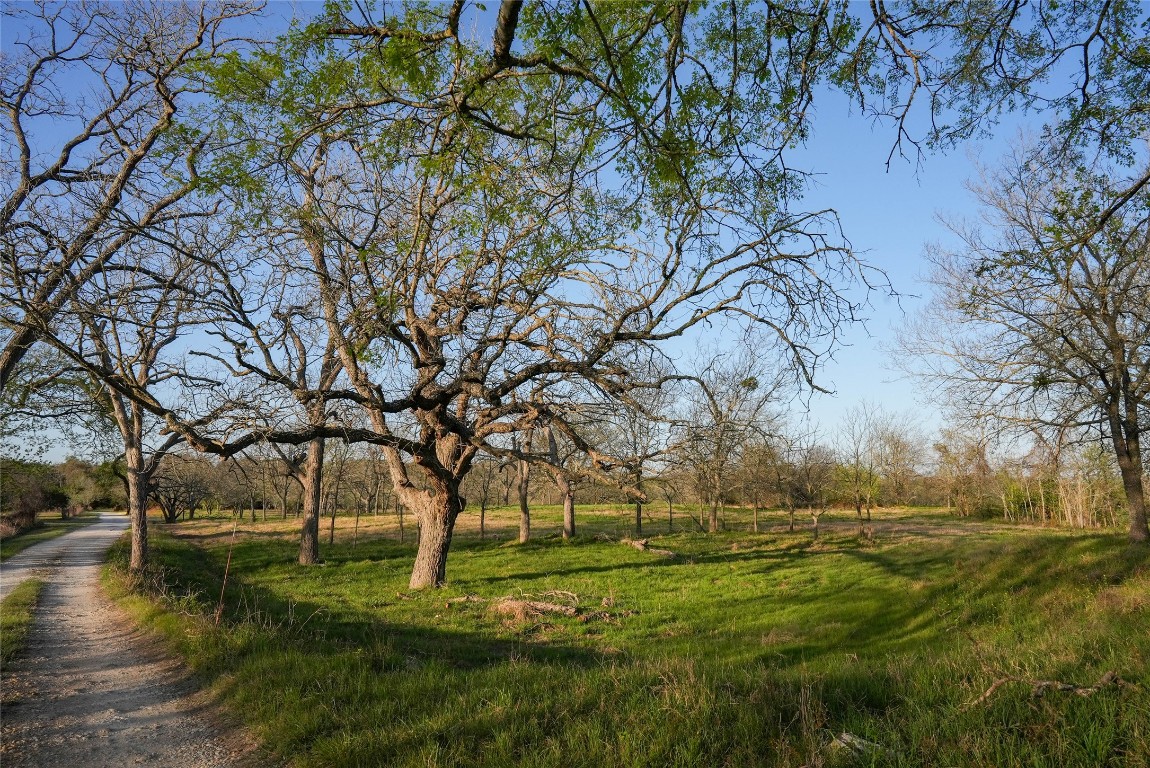 Tbd Lost Acres Loop Blanco, TX 78606 - Photo 14 of 39 a view of field with trees