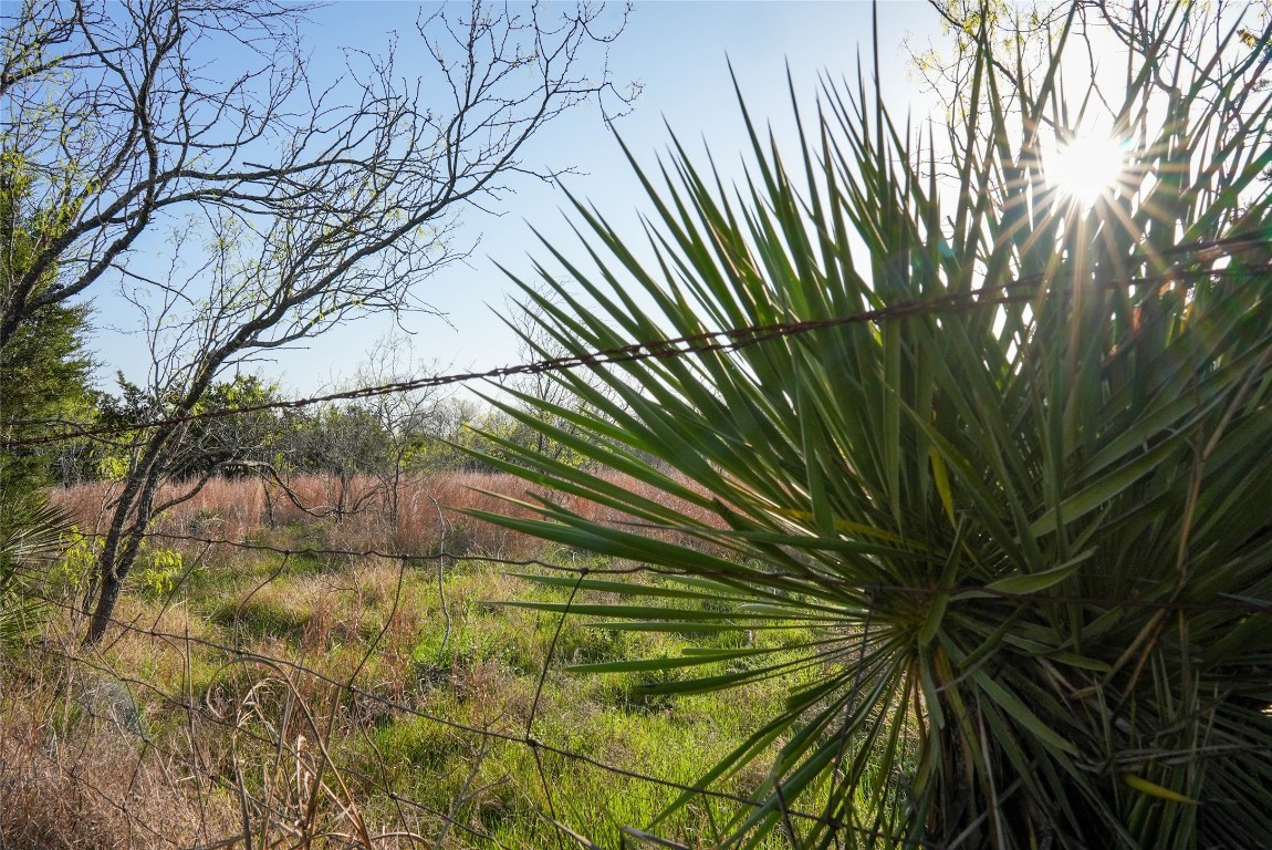 Tbd Lost Acres Loop Blanco, TX 78606 - Photo 15 of 39 a backyard of a house