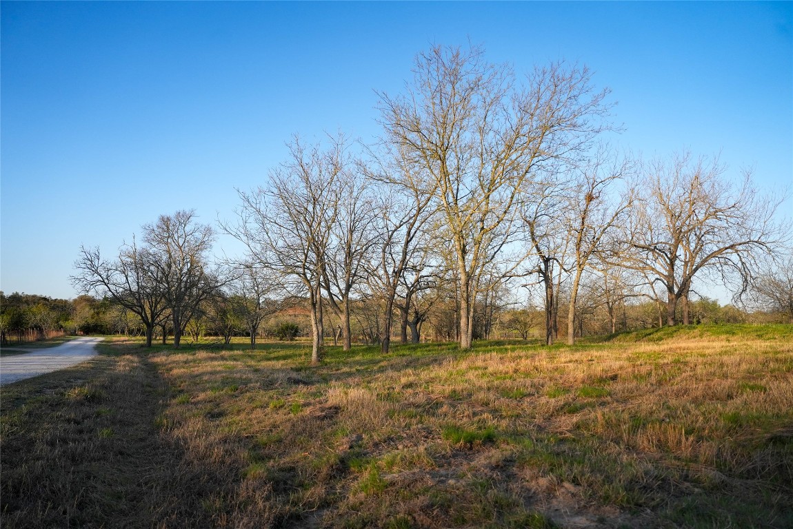 Tbd Lost Acres Loop Blanco, TX 78606 - Photo 16 of 39 a view of open space with yard