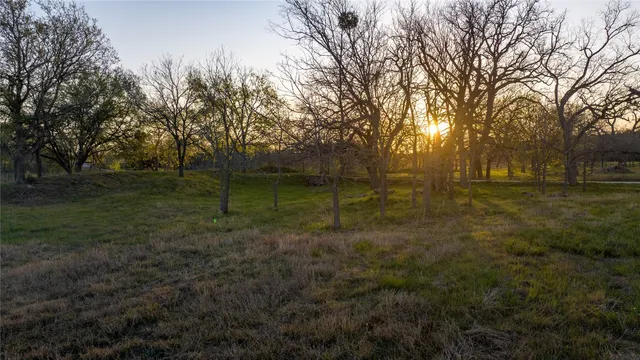 a view of a park with large trees