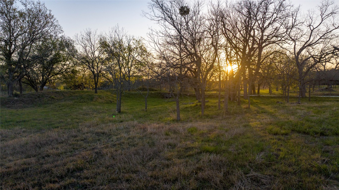 Tbd Lost Acres Loop Blanco, TX 78606 - Photo 21 of 39 a view of a park with large trees
