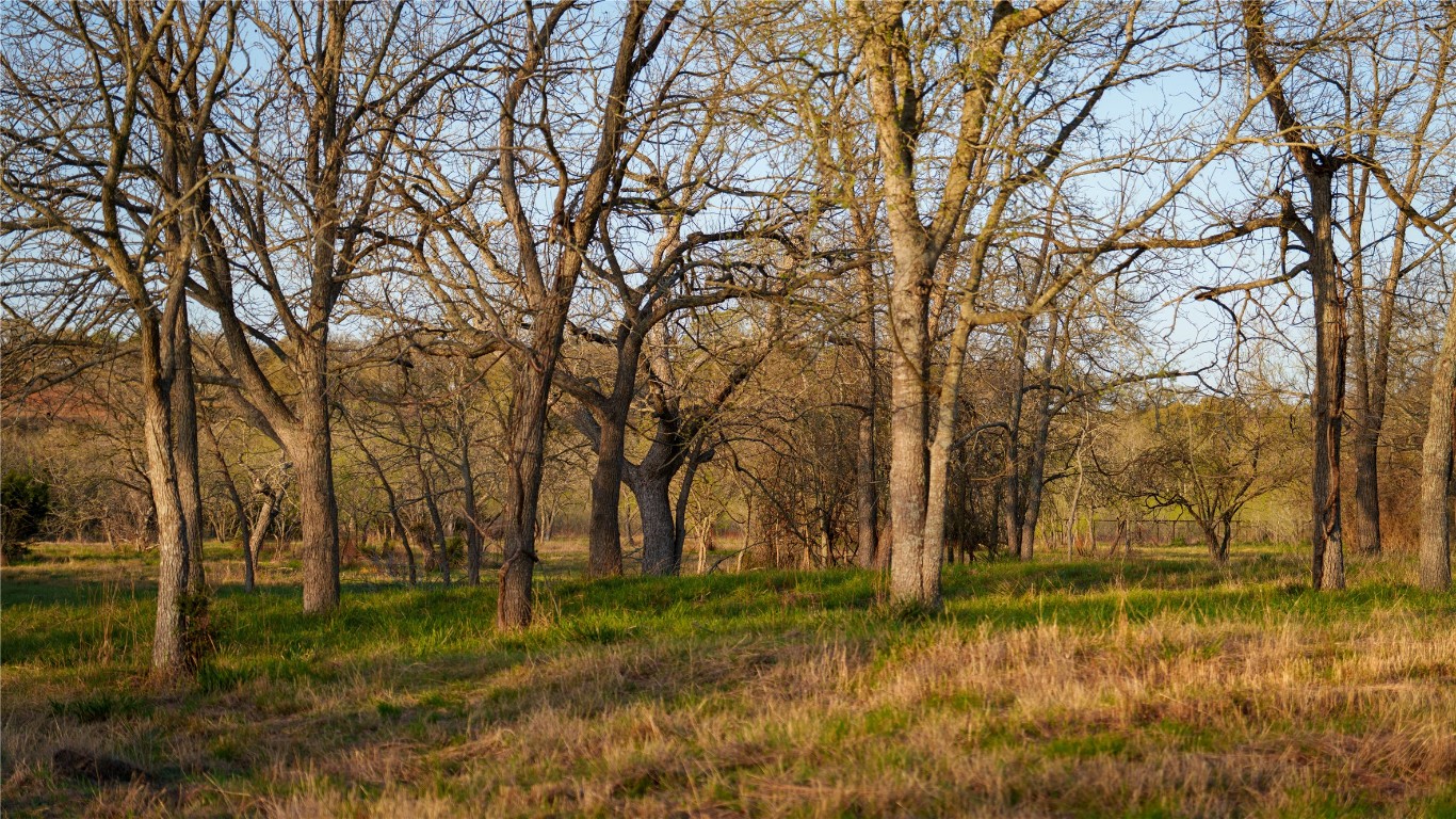 Tbd Lost Acres Loop Blanco, TX 78606 - Photo 24 of 39 a view of backyard with green space