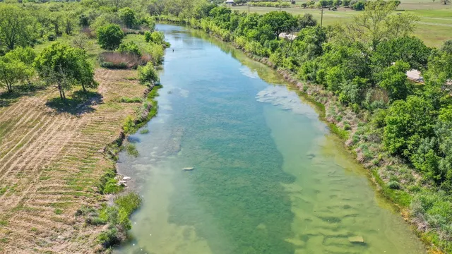 a view of a yard with plants