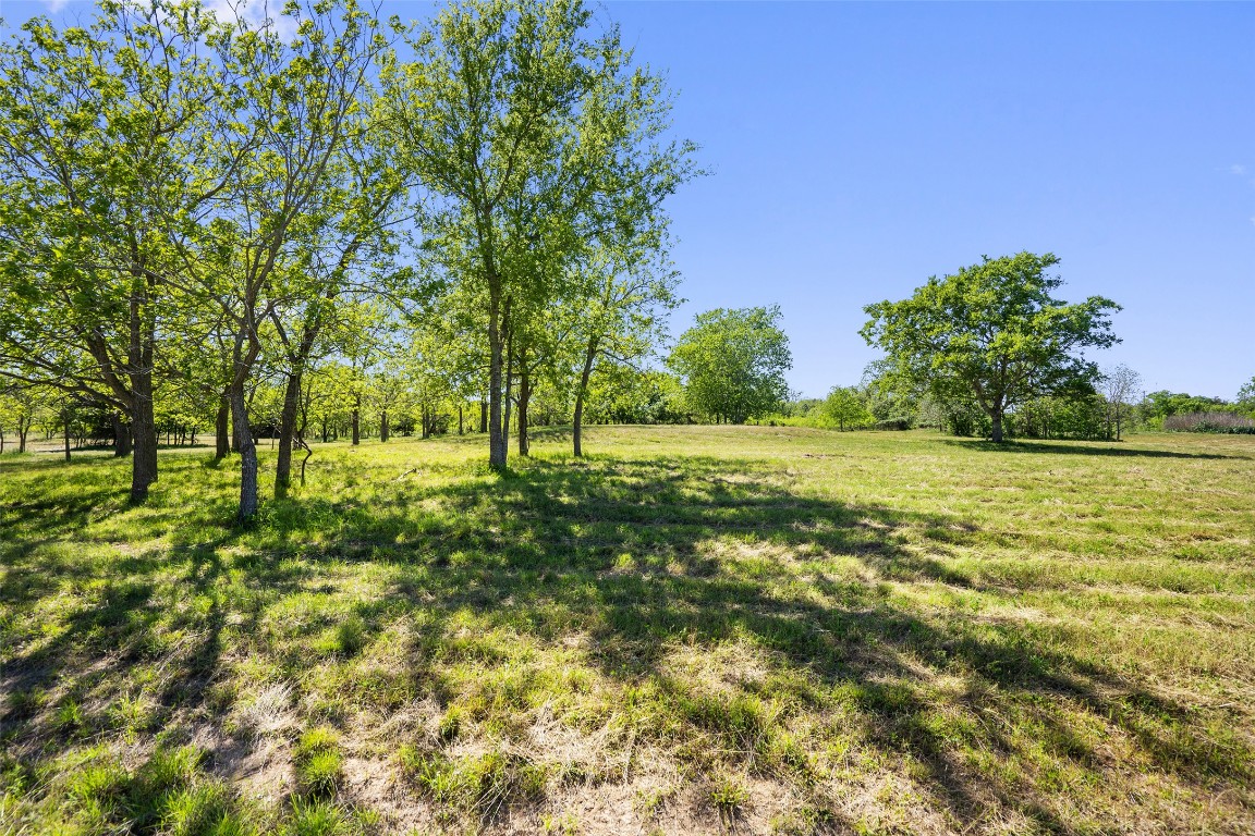 Tbd Lost Acres Loop Blanco, TX 78606 - Photo 38 of 39 a view of outdoor space with trees all around