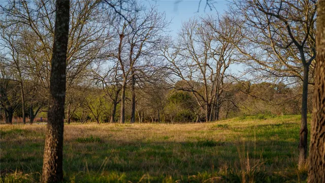a view of snow covered with trees