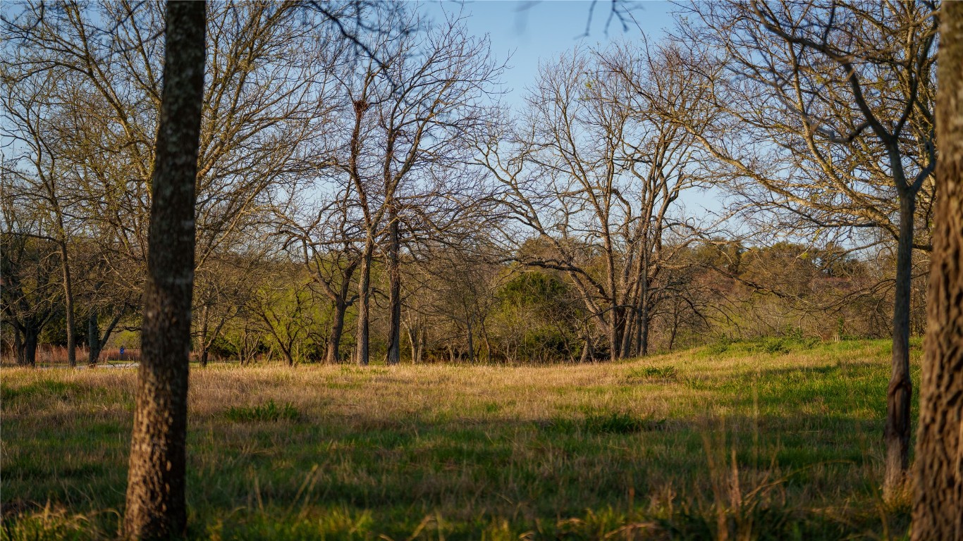 Tbd Lost Acres Loop Blanco, TX 78606 - Photo 7 of 39 a view of snow covered with trees