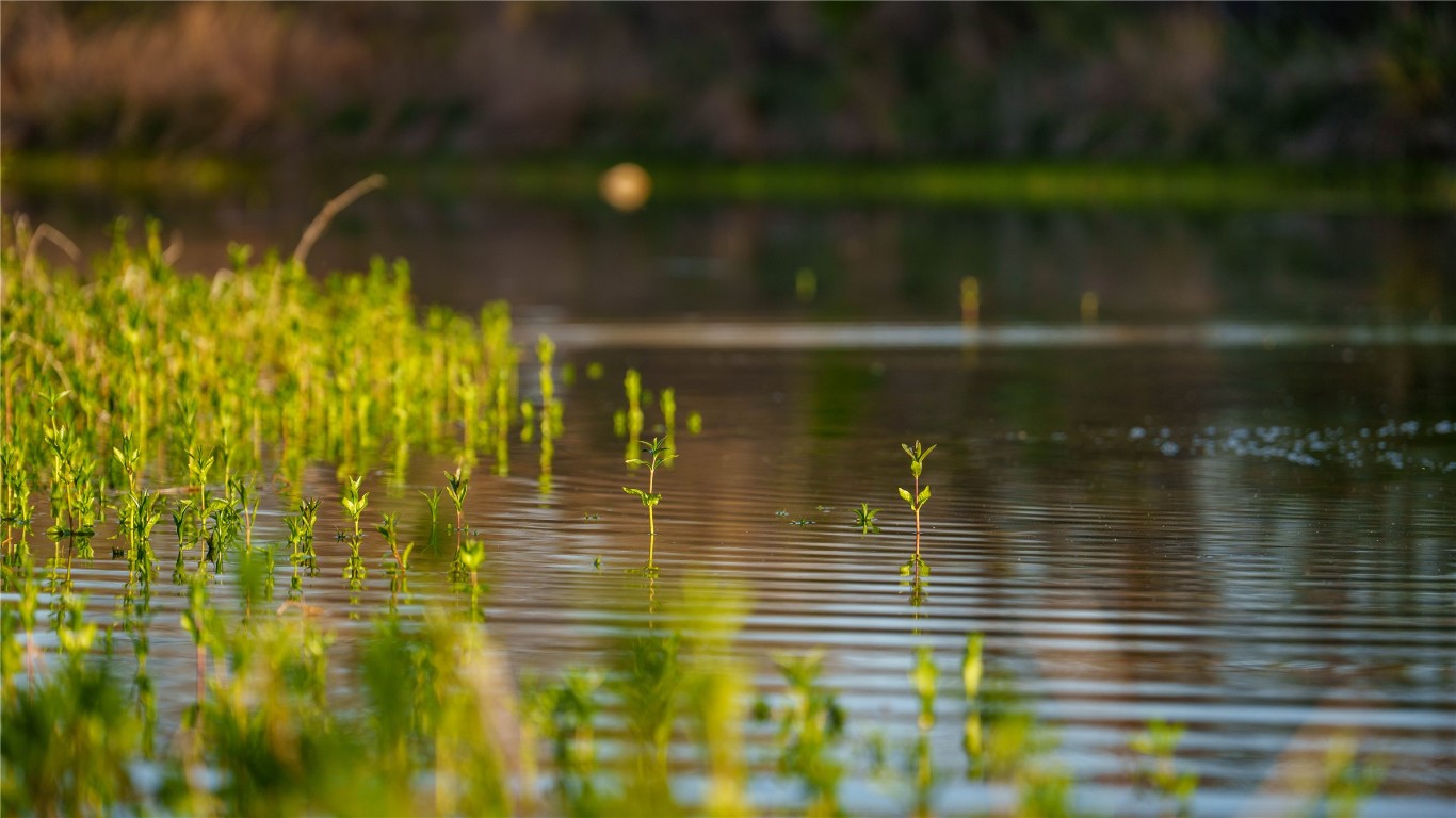 Tbd Lost Acres Loop Blanco, TX 78606 - Photo 8 of 39 a bathroom with a shower