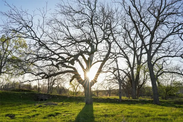 a view of backyard with green space