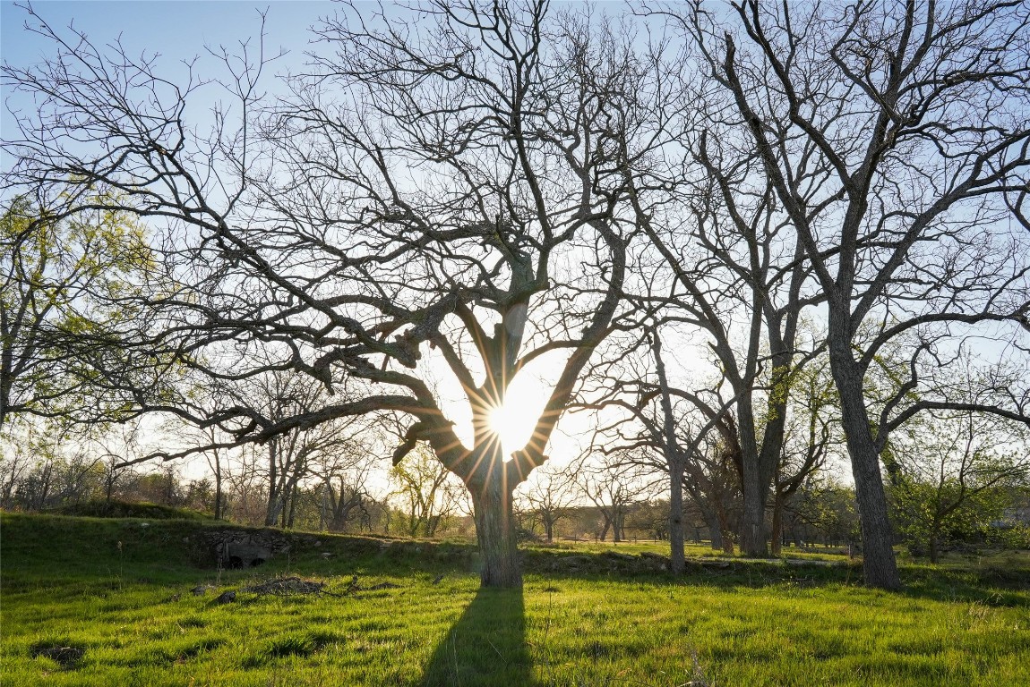 Tbd Lost Acres Loop Blanco, TX 78606 - Photo 10 of 39 a view of backyard with green space
