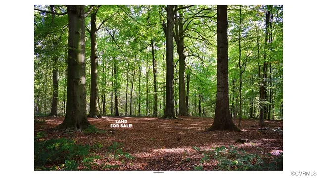 a view of outdoor space and garden