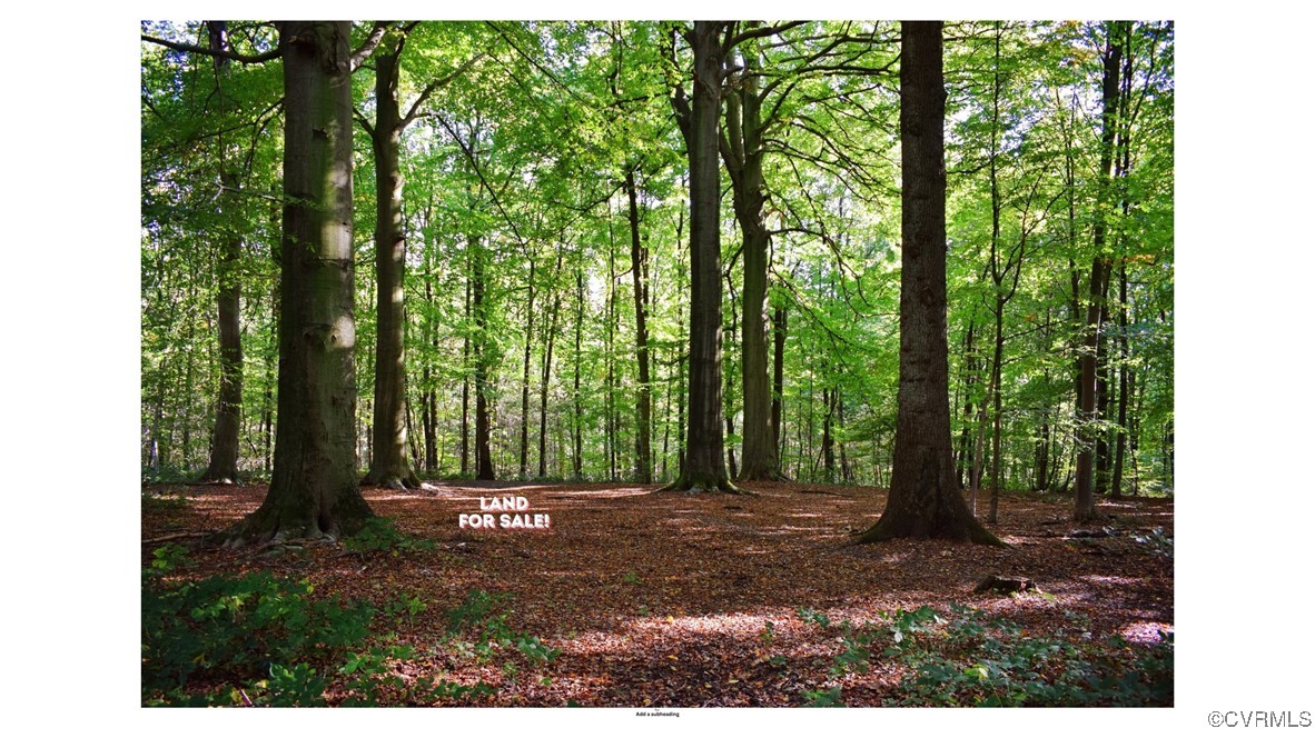 a view of outdoor space and garden