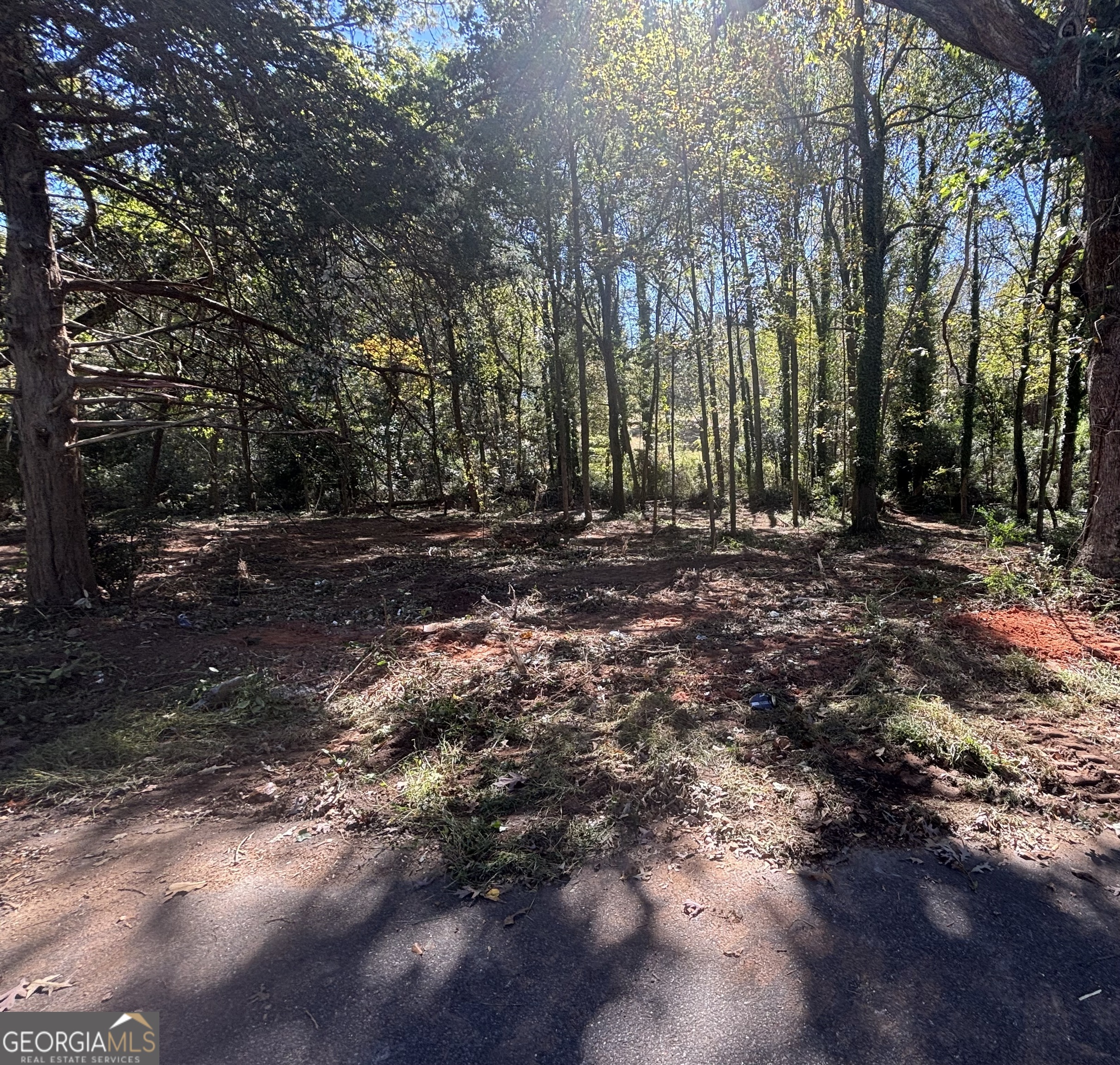 0 Grove Street Royston, GA 30662 - Photo 3 of 6