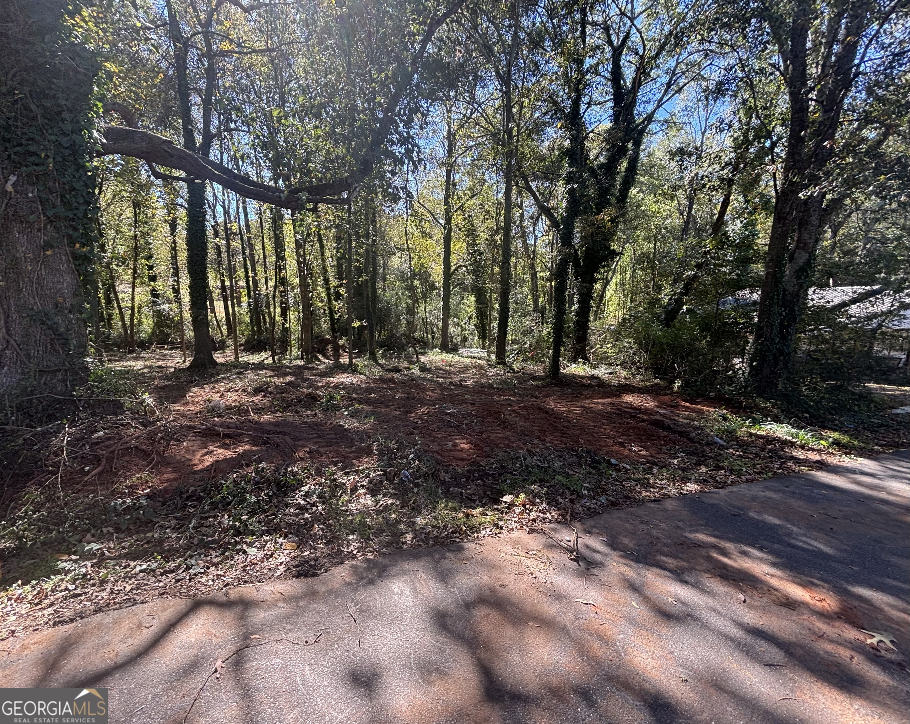 0 Grove Street Royston, GA 30662 - Photo 5 of 6