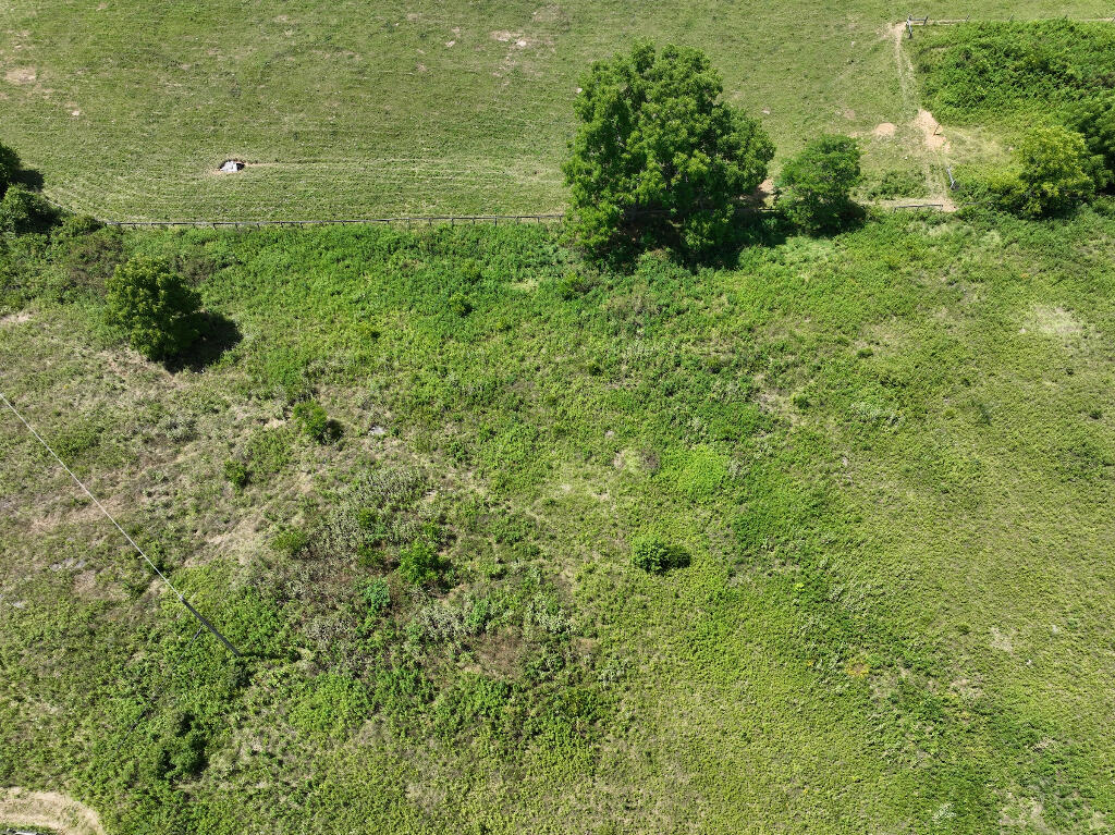 1921 Robinson-Renaker Road Berry, KY 41003 - Photo 8 of 24 07